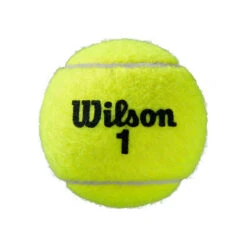 Wilson Roland Garros Official 4er Dose -Tennis Point Geschaft 0162200000 0 3